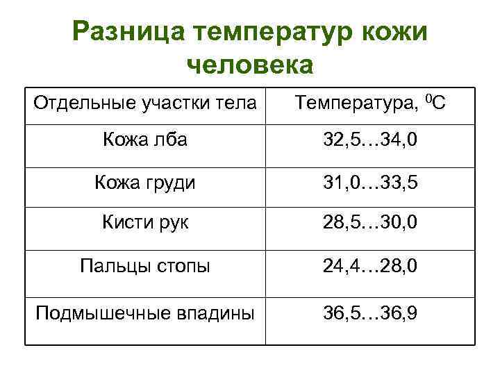 Температура тела у собак: норма и причины отклонения от нормы