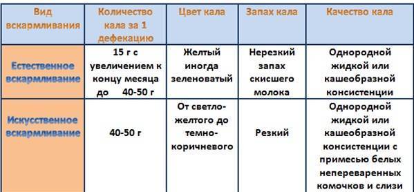 С какой частотой котятам необходимо ходить в туалет: количество раз в день