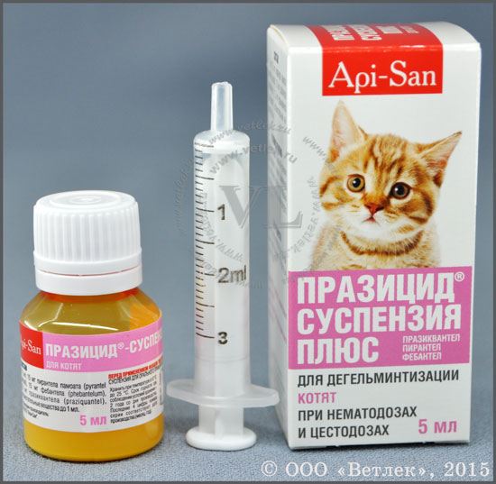 Как проглистогонить кошку в домашних условиях