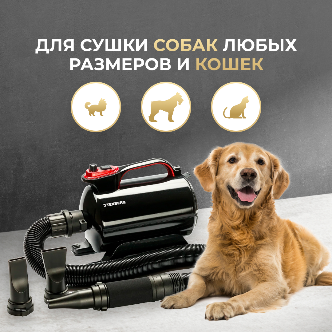 Топ-7 фенов-компрессоров для сушки собак и кошек