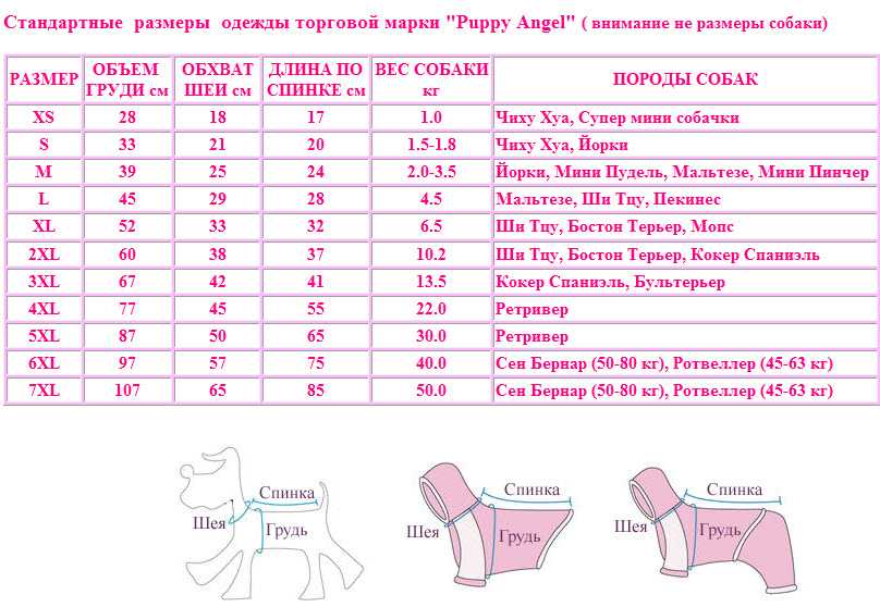 Одежда для собак: каким породам и как выбрать?
