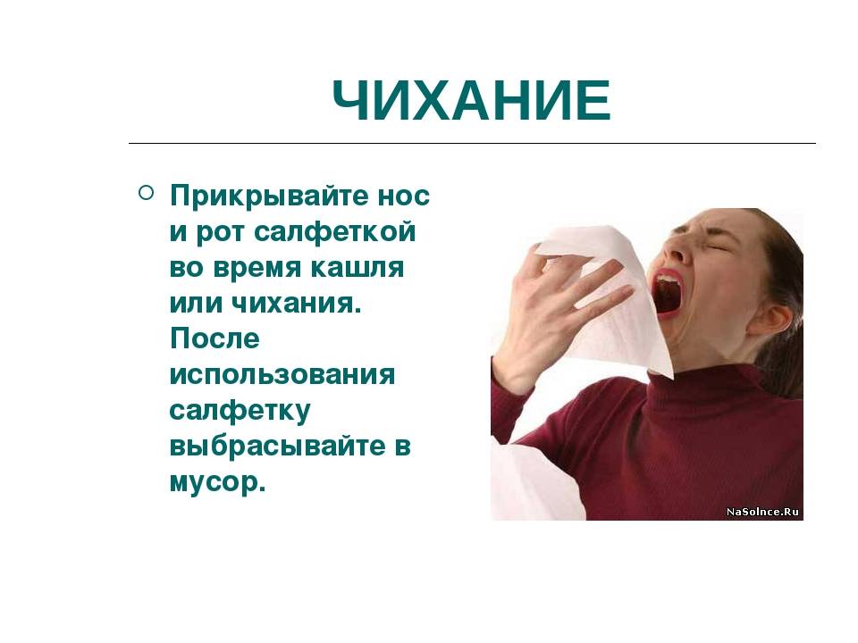 У шиншиллы гноится глаз на фоне потери аппетита: причины заболевания, профилактика и лечение