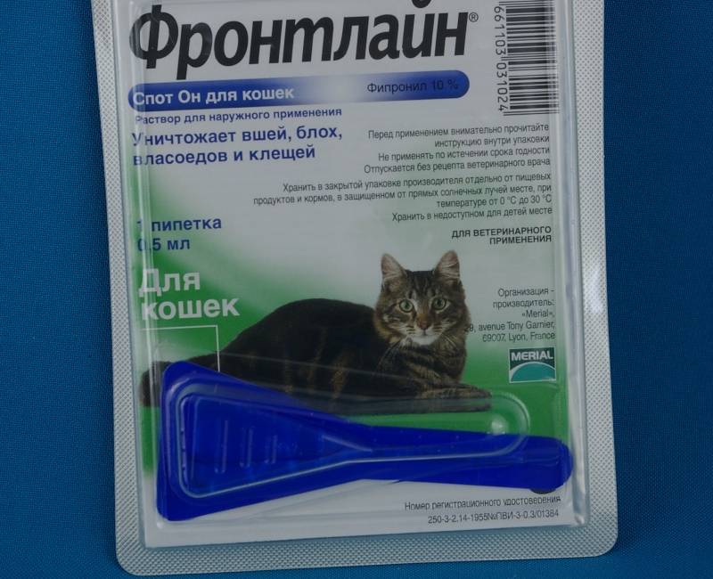 Фронтлайн для кошек — инструкция по применению, состав, отзывы