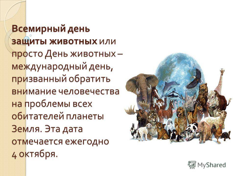 Праздники животных -  собаки и щенки