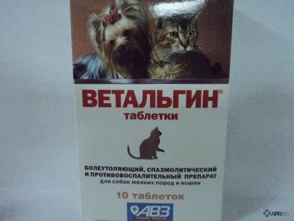 Анальгетики при артрозе у животных - noltrex в ветеринарии.