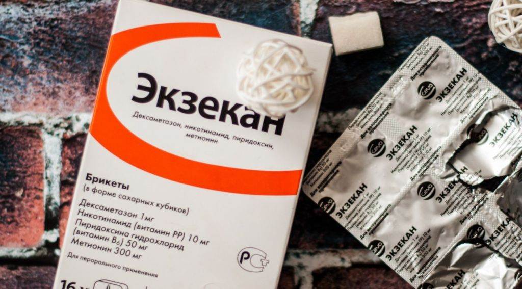 Как давать экзекан кошке?