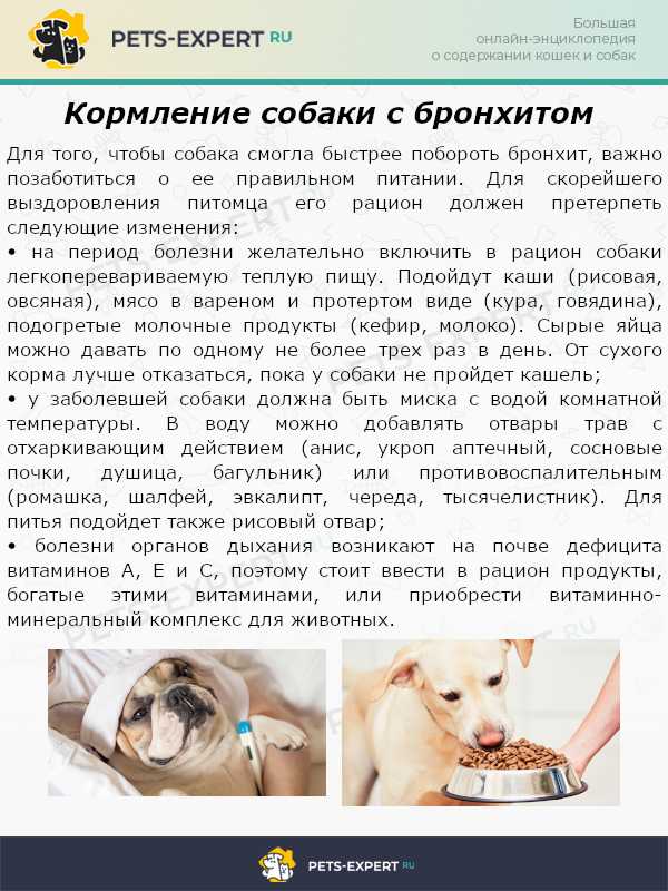 Острый и хронический трахеит - шарфом не обойтись