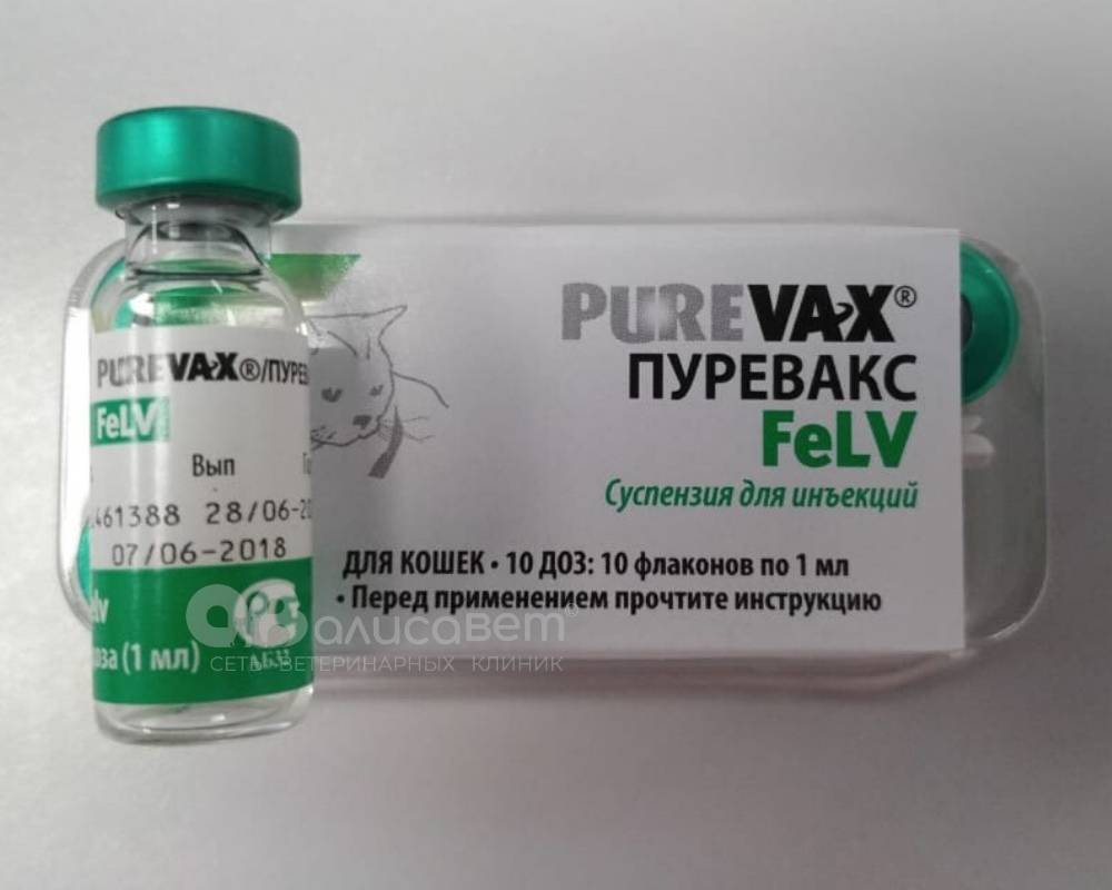 Вакцина для кошек "пуревакс": инструкция по применению препарата, механизм действия прививки