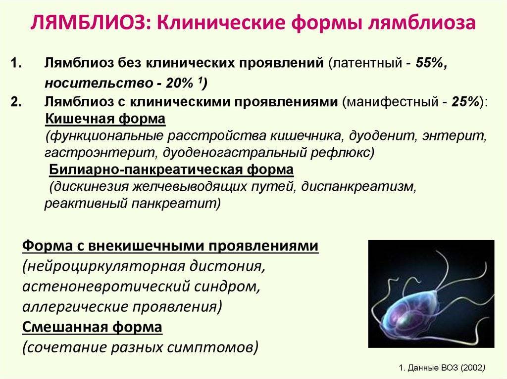 Лямблиоз презентация инфекционные болезни