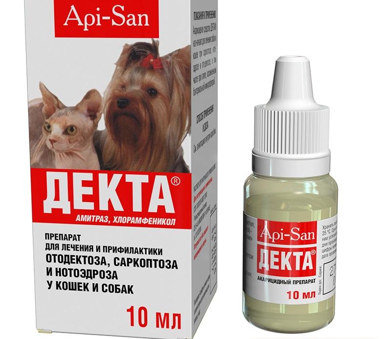 Чем лечить коросты в ушах у кролика от ушного клеща, народные средства и препараты. чем лечить ушного клеща у кроликов?
