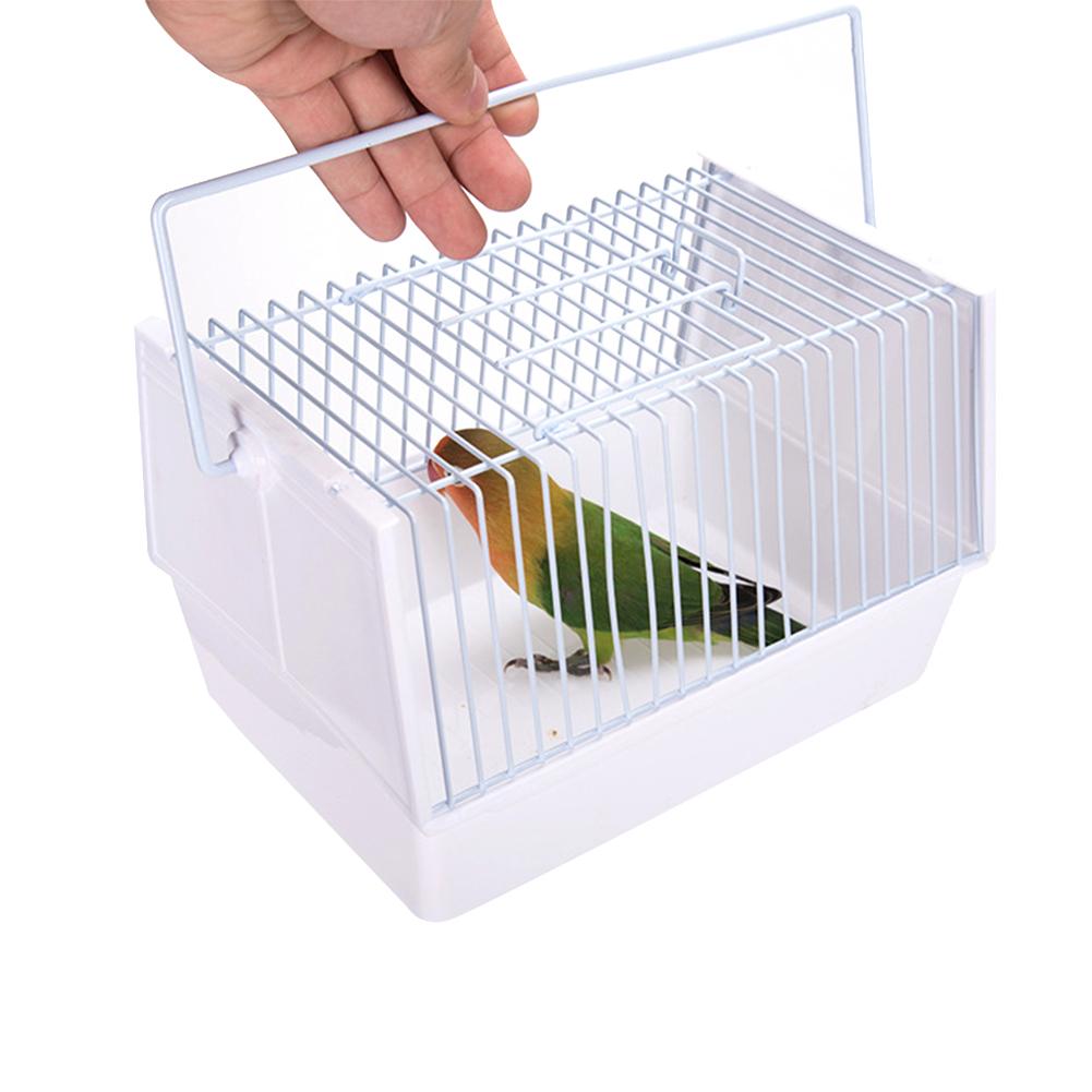 Кормушка для попугая: когда выбрать навесную, напольную, автоматическую и как сделать своими руками