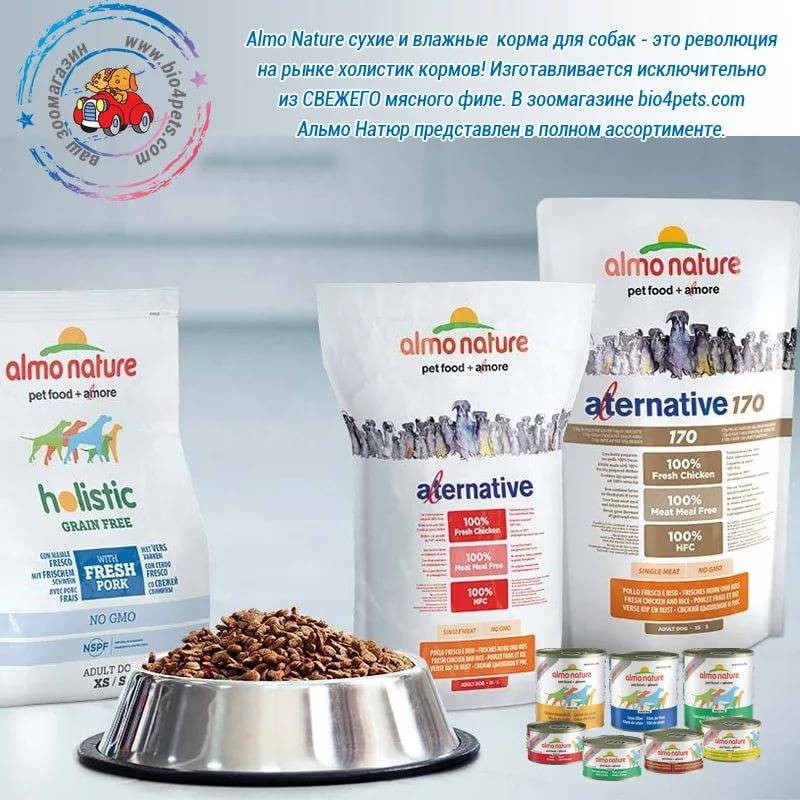 Корм для кошек almo nature – обзор, отзывы, рекомендации