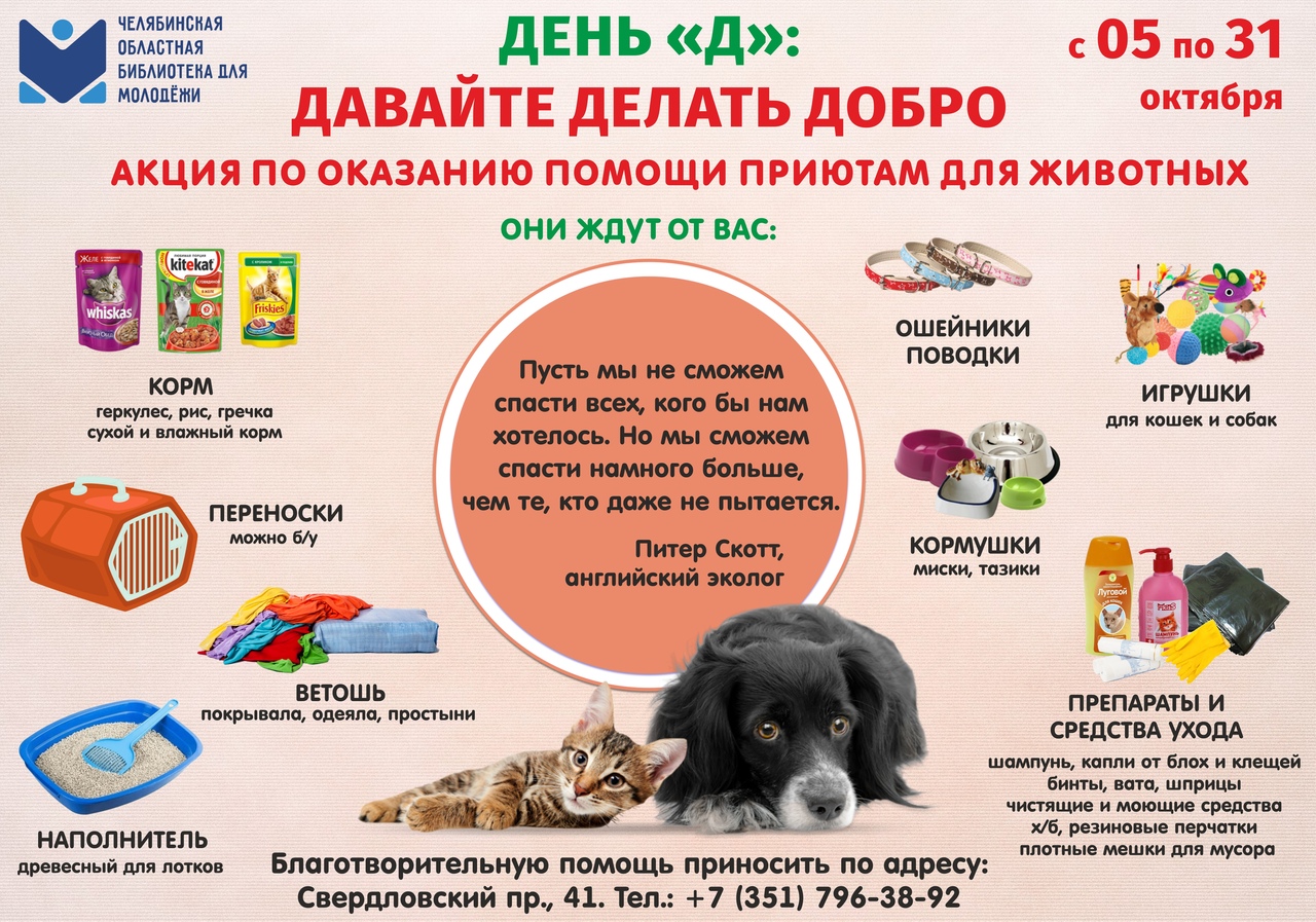 Приют для собак: в каком можно взять щенка