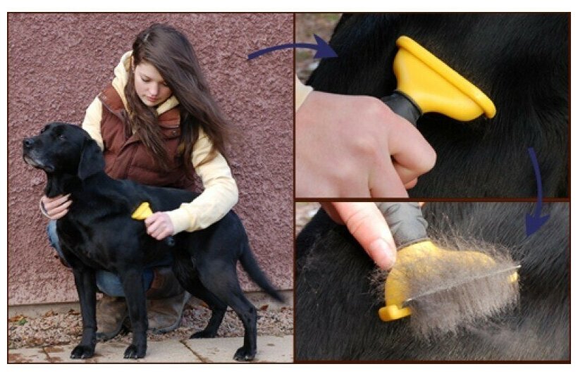 Фурминатор для собак: что это такое и как им пользоваться | beauty-line14a.ru