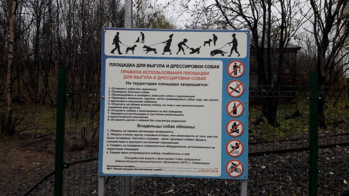 Правила выгула собак в 2023 году по закону о содержании животных | юридические советы