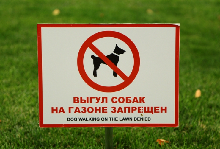Закон о выгуле собак в 2021 году