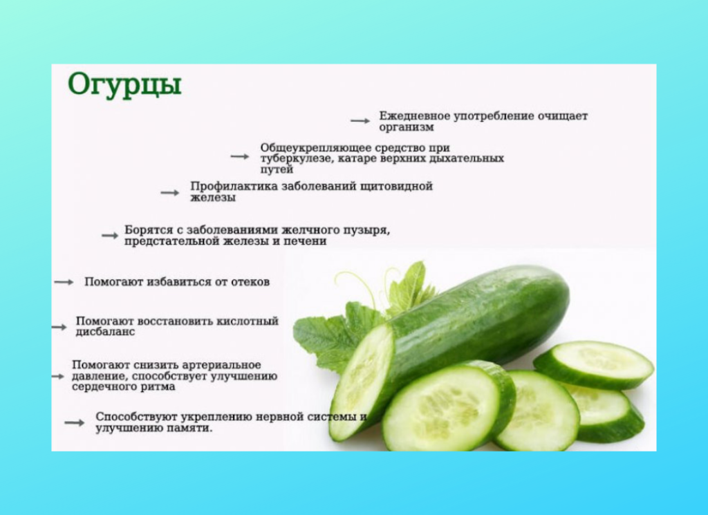 Овощи в рационе хомяка