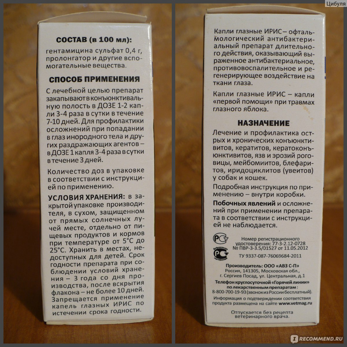 Глазные капли ирис для кошек - инструкция по применению