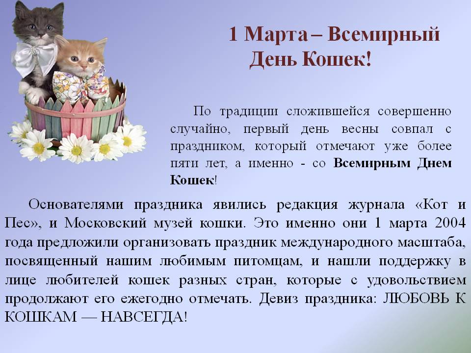 Проект день кошек