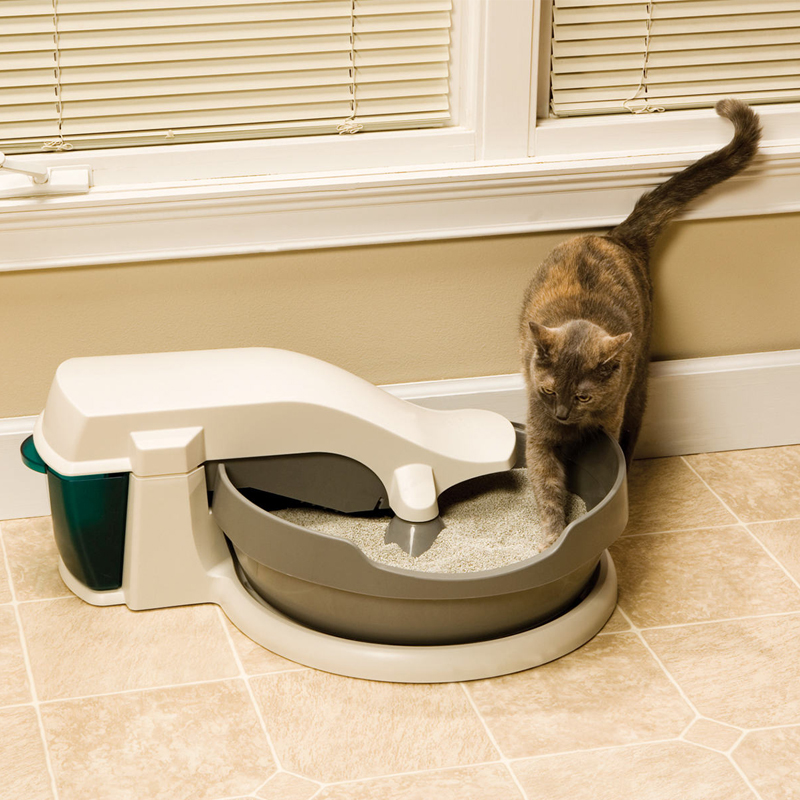 Автоматический туалет для кошек и котов: как работает умный кошачий лоток