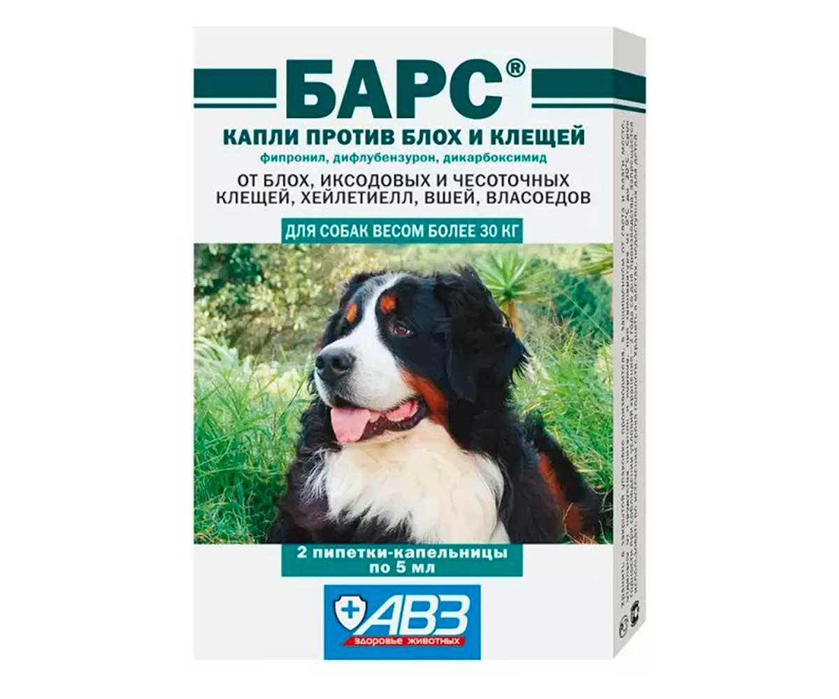 Капли от клещей для собак на холку - топ-8 лучших | защита от вредителей | дзен