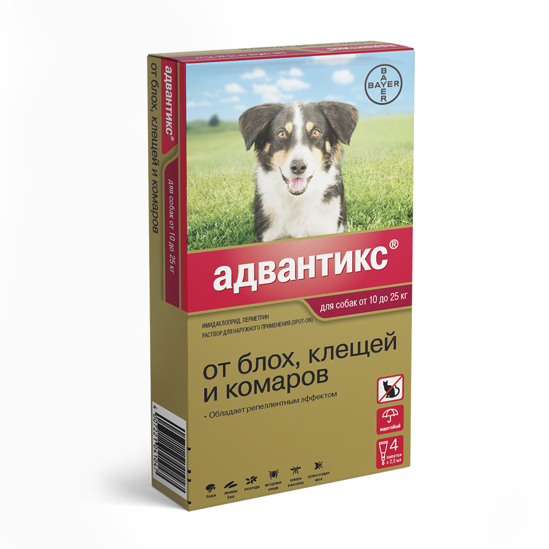 Адвантикс