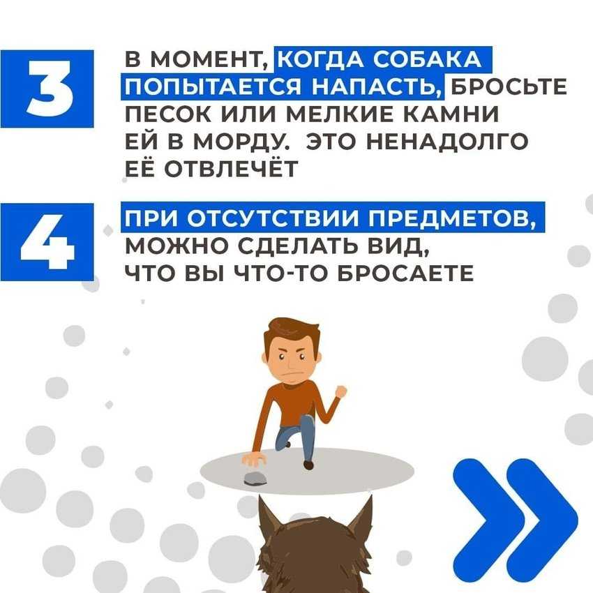 Защита от нападения агрессивной собаки, уязвимые места на теле собаки, защита от нападения собаки стоя и лежа, использование подручных предметов. | выживание в дикой природе