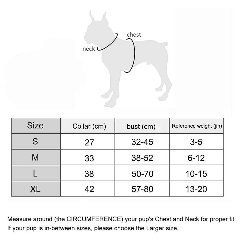 Как выбрать шлейку для собаки по размеру, с грузами, обычную или ездовую, для разных пород
