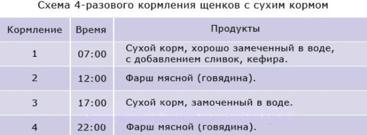 Чем кормить таксу