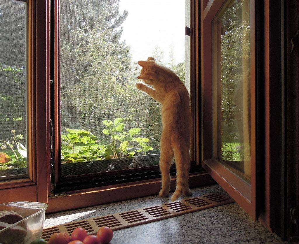 Как отвадить котов метить дверь: лучшие способы и методы, как отучить уличных кошек
