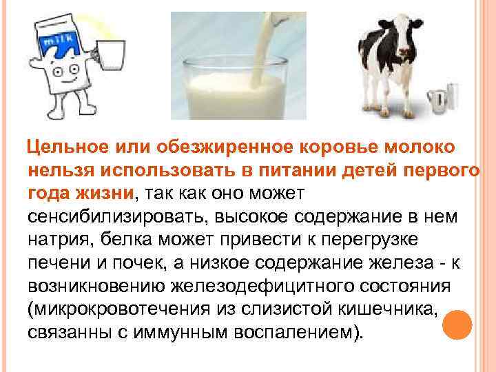 Можно ли кошкам и котам молоко и кисломолочные продукты, как они влияют на организм взрослого животного, молочка в рационе котенка