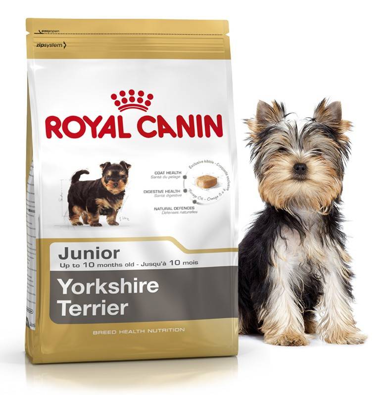 Royal canin йоркширский терьер. Royal Canin Yorkshire Terrier Puppy корм. Корм Роял Канин для щенков Йорка. Роял Канин Джуниор для йорков. Роял Канин для йорков щенков.