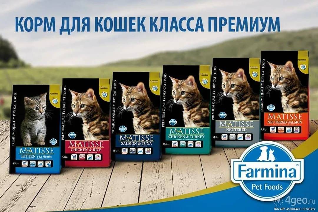 Корм для кошек farmina («фармина»): отзывы ветеринаров и владельцев животных о нем, его состав и виды, плюсы и минусы