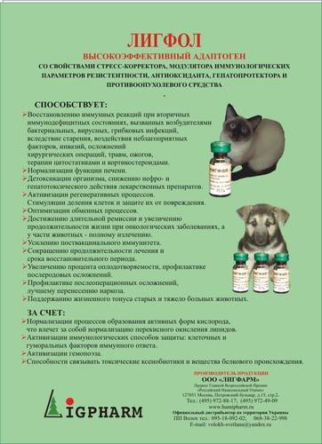 Лигфол для кошек инструкция по применению: аналоги и отзывы ветеринаров