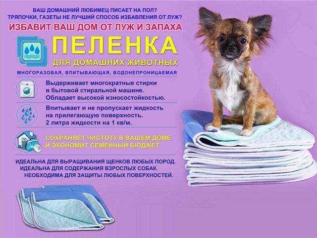 Пеленки для собак одноразовые и многоразовые. правила выбора на petstory