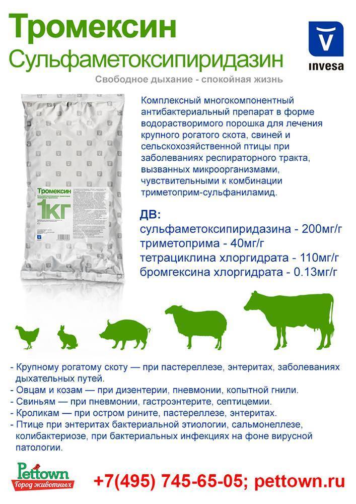 Тромексин — инструкция по применению для птиц, кроликов и других животных