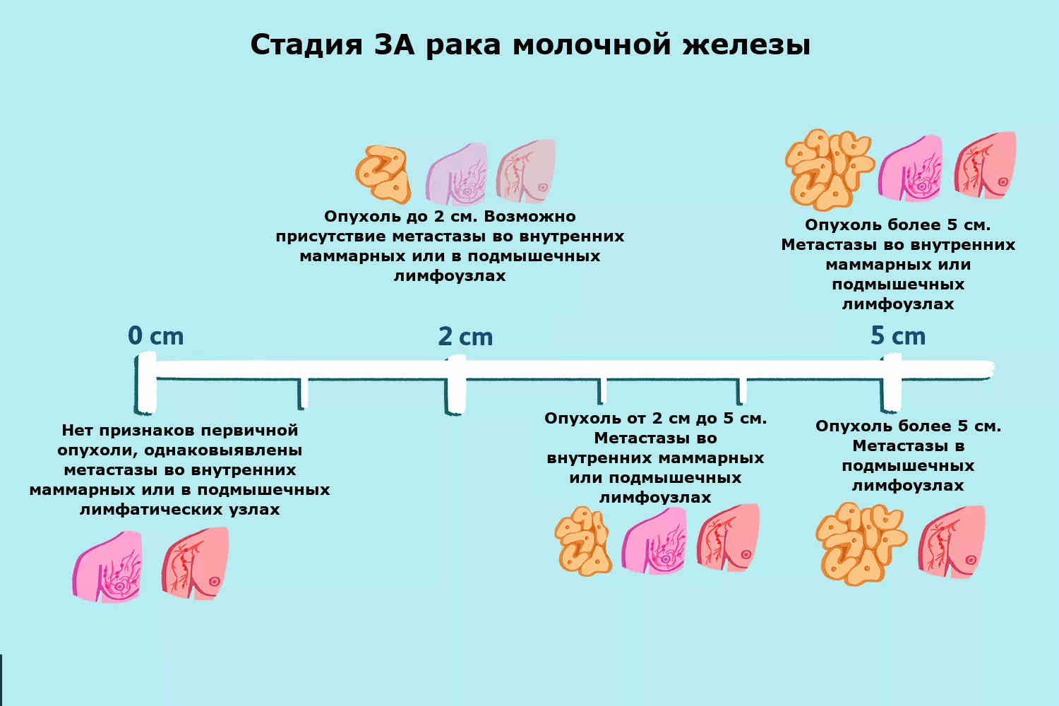 Рак у кошек — фото основных симптомов и первых признаков заболевания + советы по диагностике и лечению
