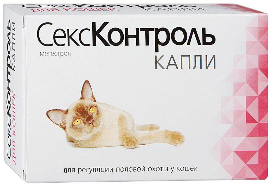Как давать капли кошке. Капли для кошек СЕКСКОНТРОЛЬ. Таблетки антисекс для кошек. Гестренол д/кошек капли 1,5мл. СЕКСКОНТРОЛЬ Д/кошек 3мл капли.