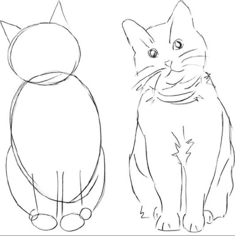 Как нарисовать кота