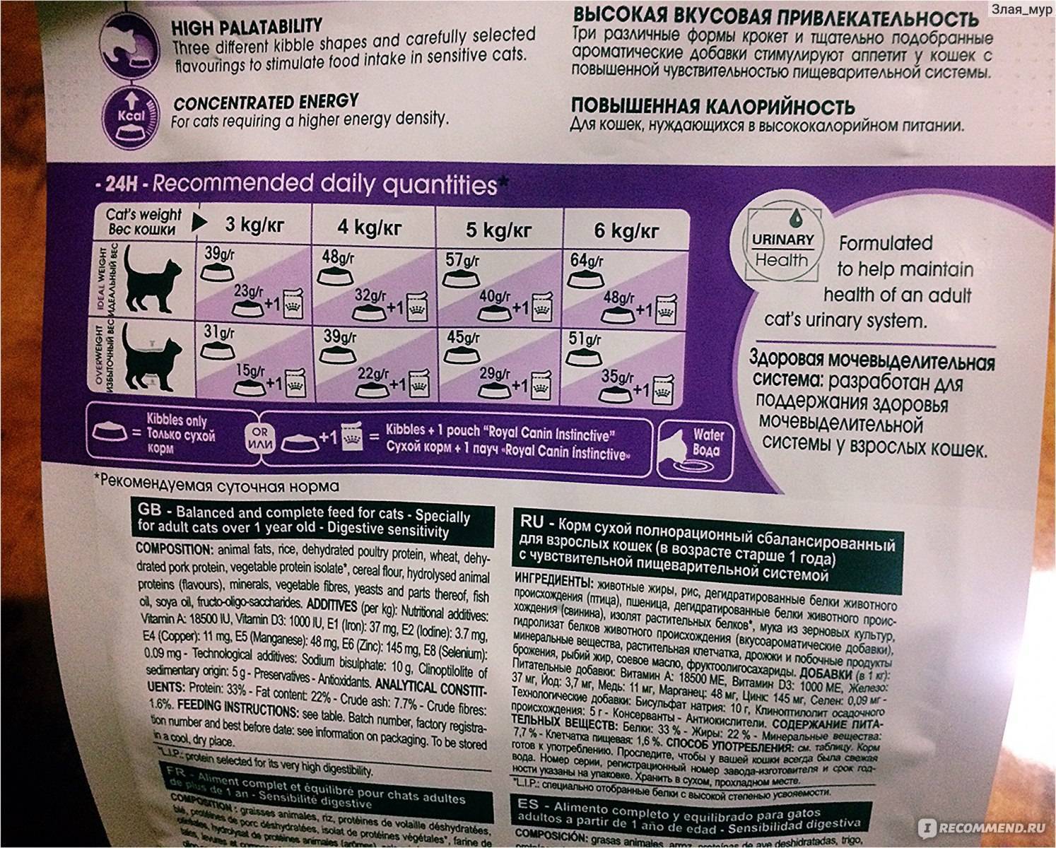 Обзор сухих и влажных кормов для кошек «роял канин»: назначение и состав продукции разных линеек