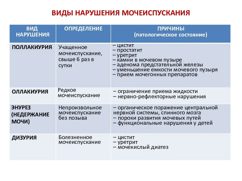 Ночные мочеиспускания у мужчин причины лечение схемы