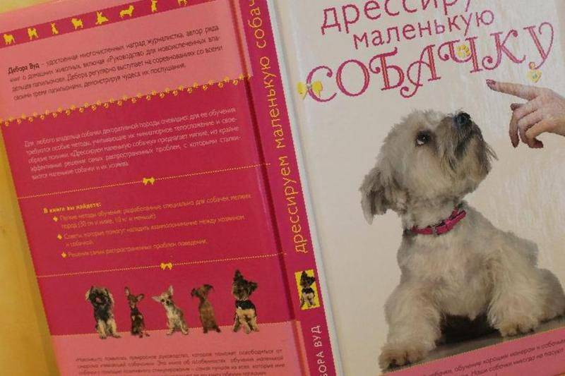 Учим собаку команде "фас". 3 этапа обучения