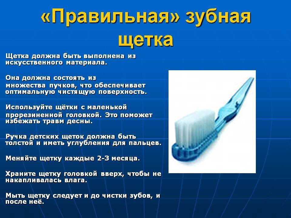 Правила чистки зубов питомцу: от выбора щетки до количества процедур