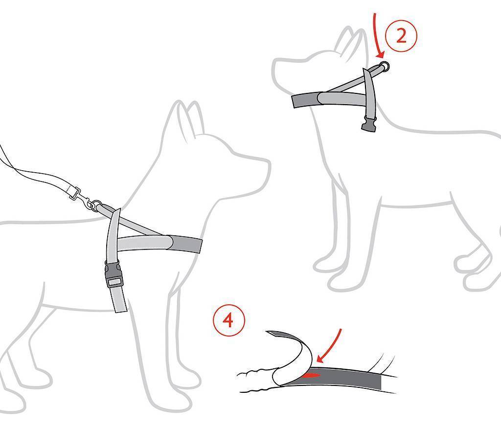 Как одевать шлейку на собаку инструкция в картинках пошагово с фото