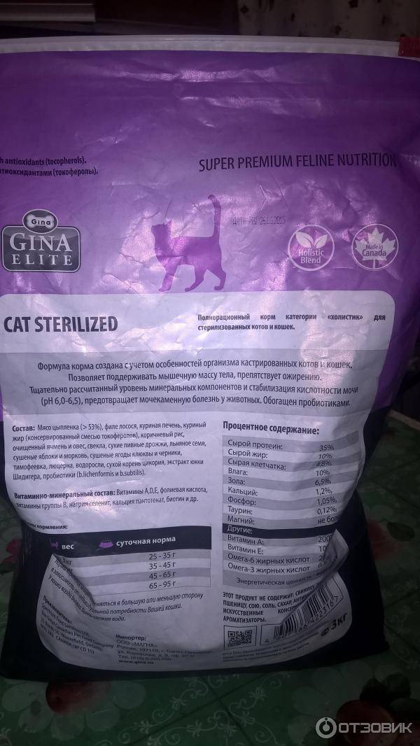 Корм для кошек gina (джина) — отзывы ветеринаров, владельцев