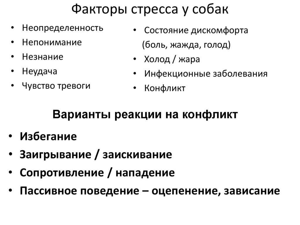 Причины депрессии у кошек и собак
