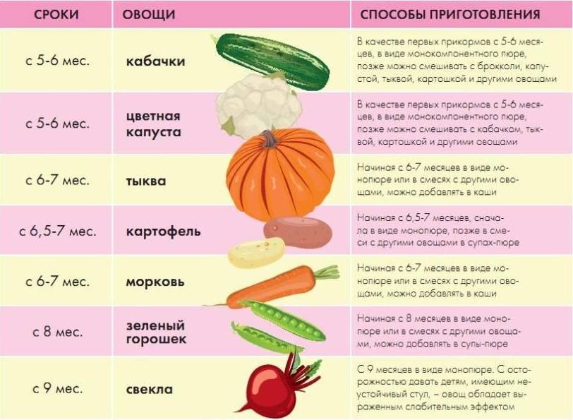 Овощи для собаки – советы и рекомендации