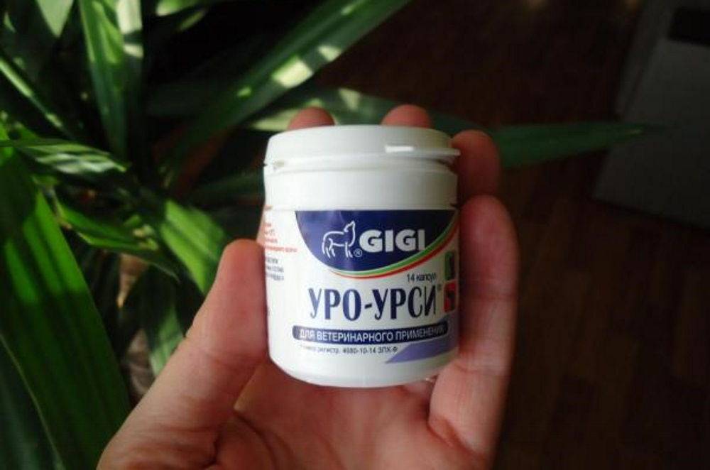 Уро урси для собак: инструкция по применению с дозировкой. как давать препарат, можно ли его щенку и что делать, если после него кал стал твёрдый?