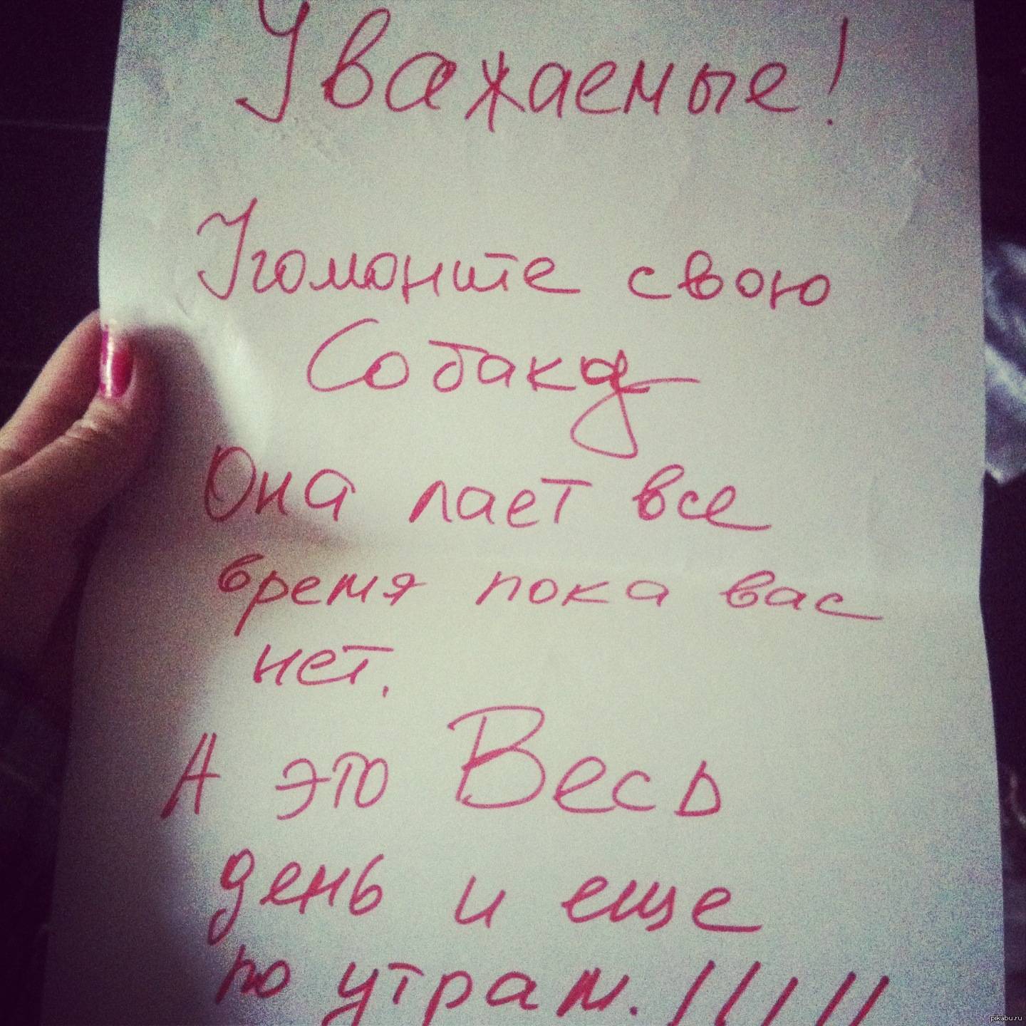 Лает собака у соседей – что делать, если ночью в квартире постоянно громко воет пес, как избавиться от животного и куда жаловаться, если оно мешает спать?