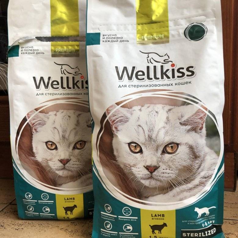 ᐉ обзор корма для кошек wellkiss - ➡ motildazoo.ru